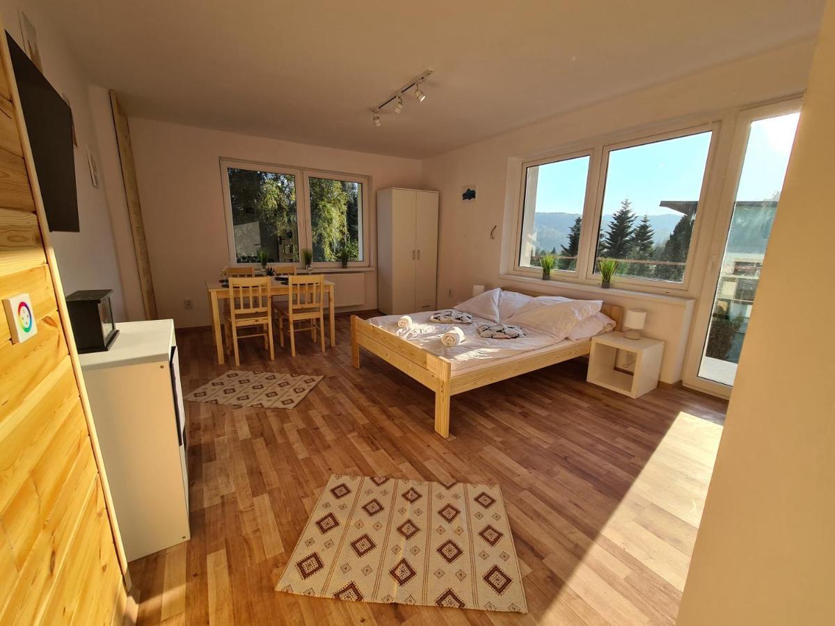 Apartamenty Willa Naskarpie Jacuzzi Sauna Basen ヴィスワ エクステリア 写真