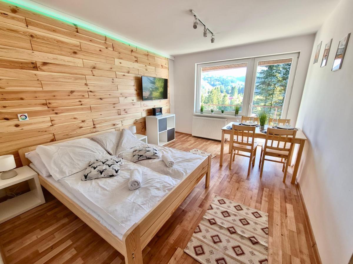 Apartamenty Willa Naskarpie Jacuzzi Sauna Basen ヴィスワ エクステリア 写真