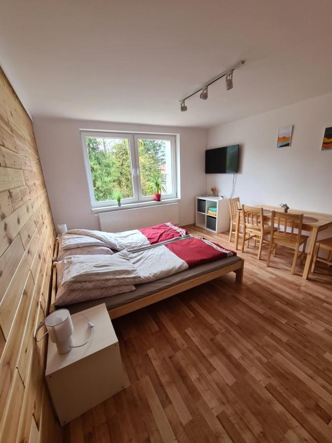 Apartamenty Willa Naskarpie Jacuzzi Sauna Basen ヴィスワ エクステリア 写真