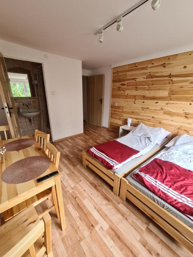 Apartamenty Willa Naskarpie Jacuzzi Sauna Basen ヴィスワ エクステリア 写真